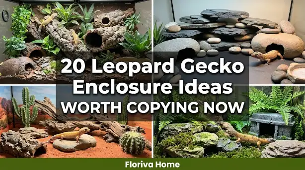 20 Leopard Gecko Enclosure Ideas Worth Copying Now