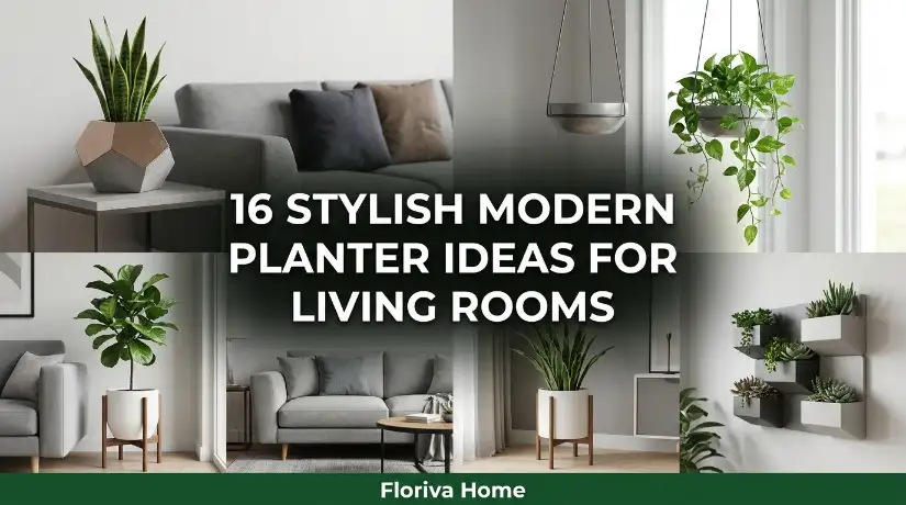 Stylish Modern Planter Ideas for Living Rooms
