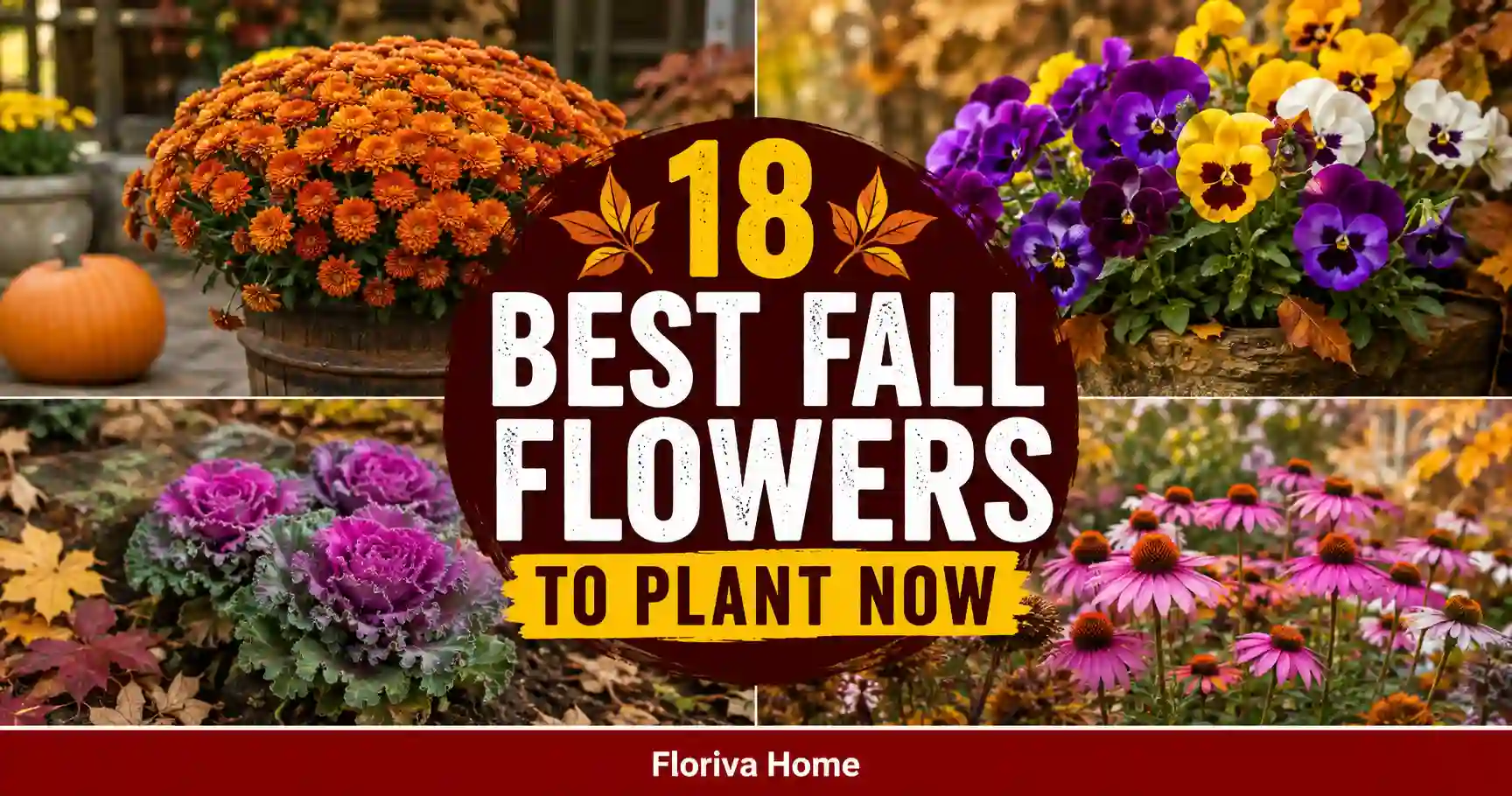 Best Fall Flowers to Plant Now