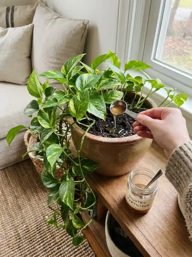 7. Feed During Active Growth