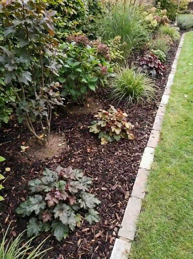 7. Mulch Beds for a Fresh Seasonal Finish