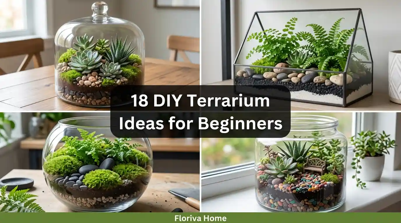 DIY Terrarium Ideas for Beginners
