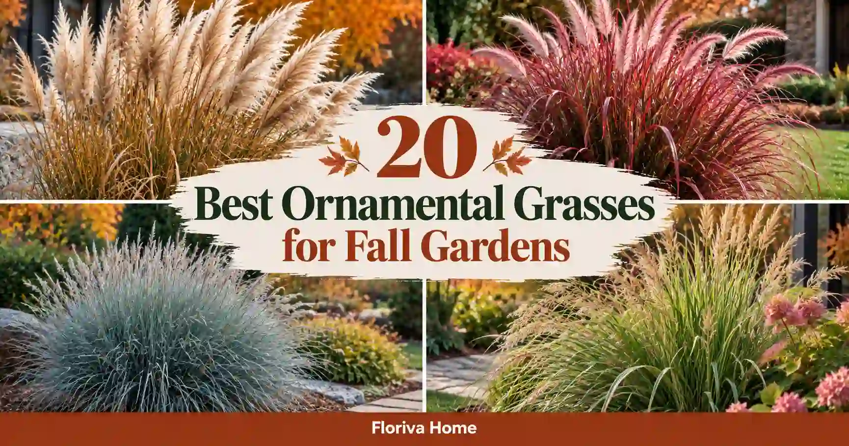 Best Ornamental Grasses for Fall Gardens